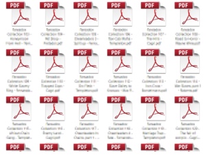 PDF Icon - Grosse Symbole