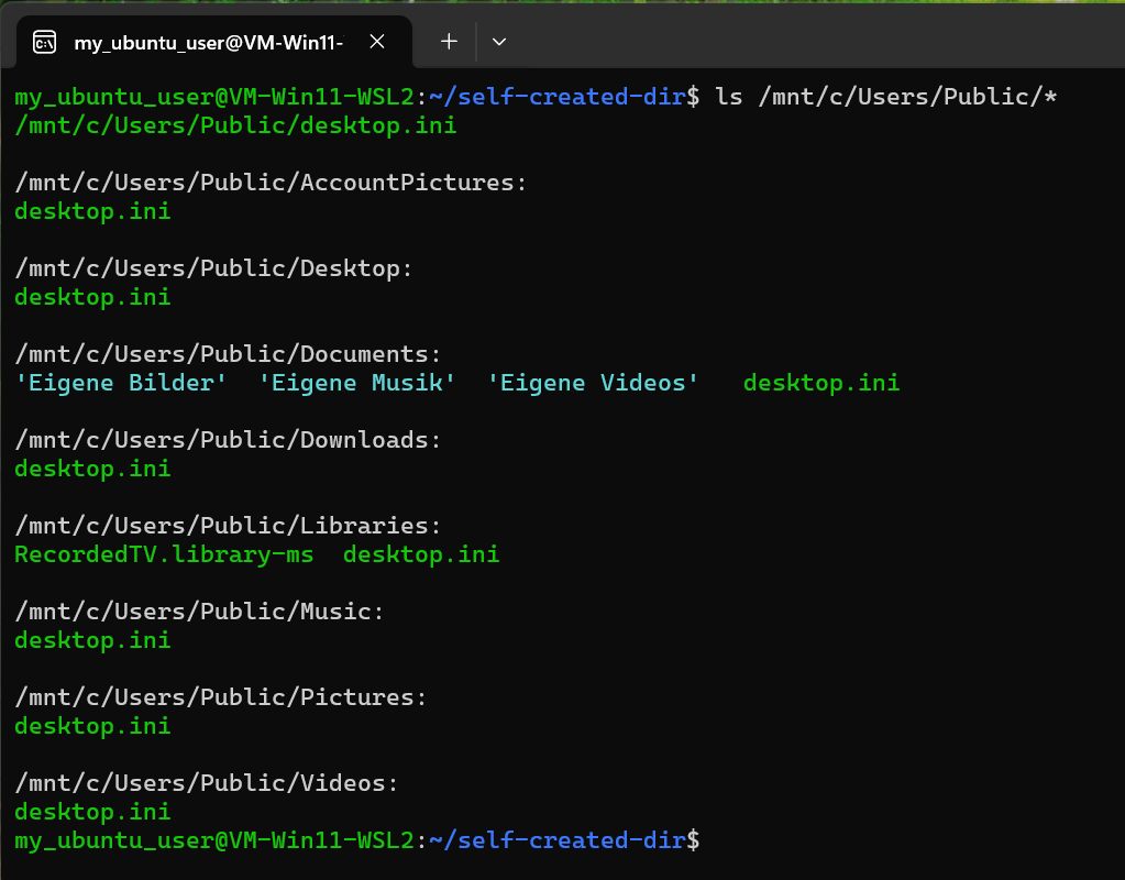 Zugriff mit ls /mnt/c/Users/Public/*